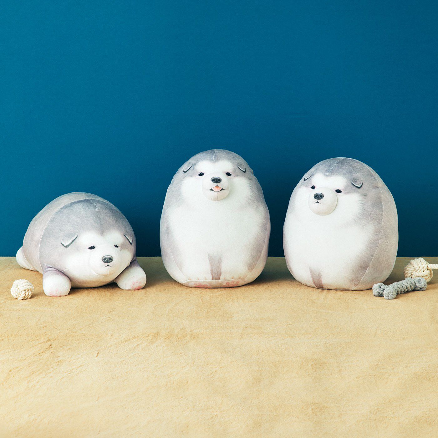 YOU+MORE! Life-size Alaskan Malamute puppy cushion collection