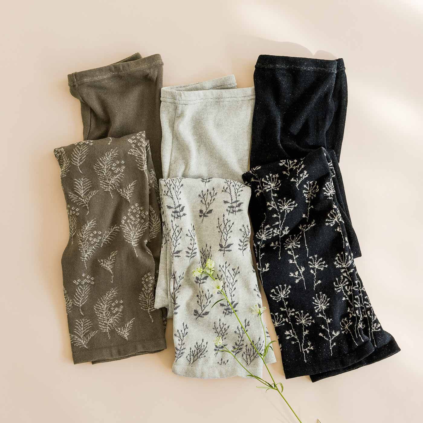 ���~�v�����X �����Ƃœ��������Ԃ��h��� �R�b�g�����l���̂��҂݃��M���X�̉�y���������z