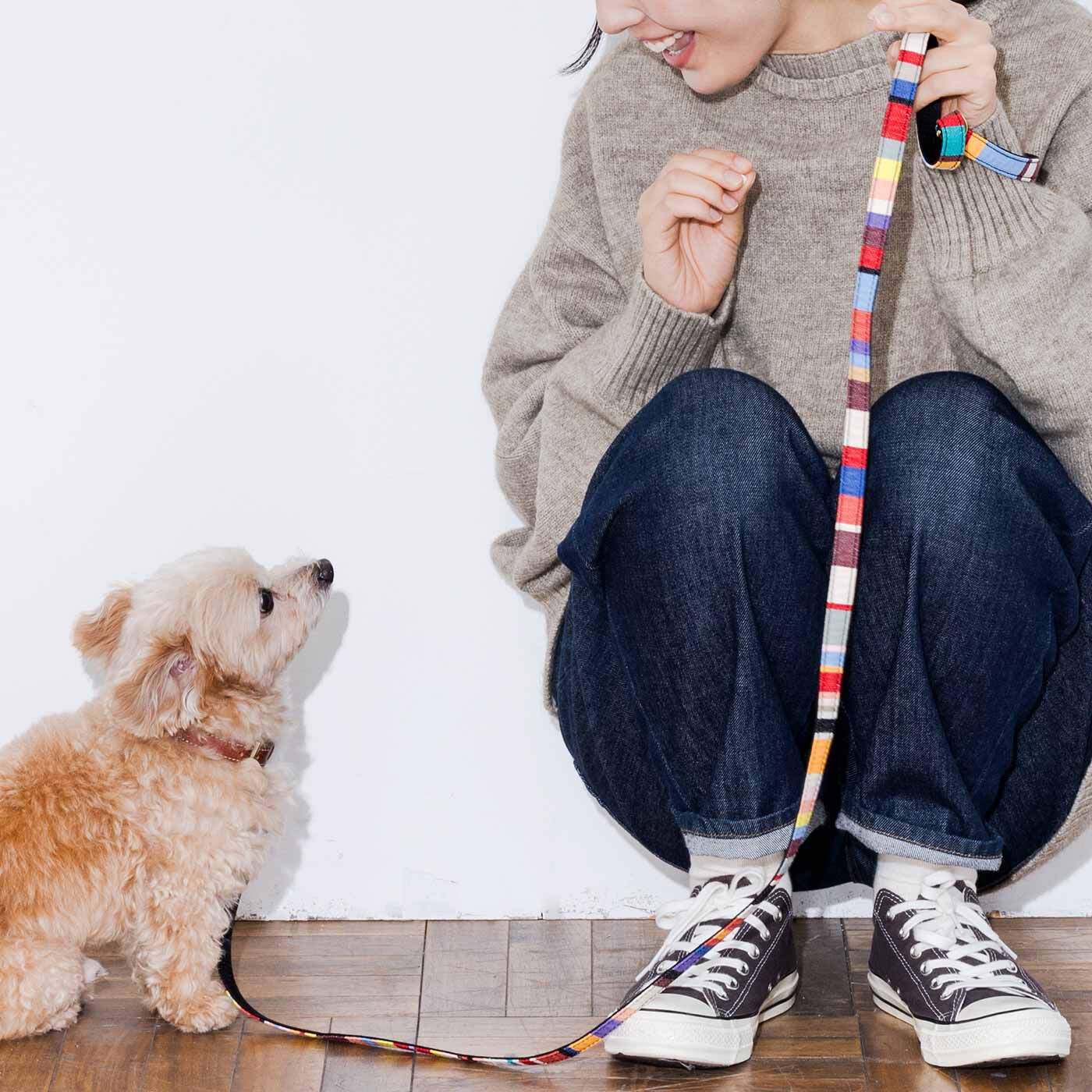 リブ イン コンフォート LES TOILES DU SOLEILのトムマルチ柄でつくった 犬用お散歩リード【送料無料】
