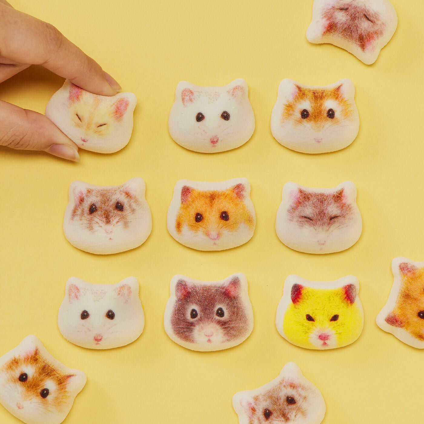 YOU+MORE! ほっぺをフニフニしたくなる ハムスターのミニ和風マシュマロ〈チョコ餡〉15個入り【送料: 450円+税】