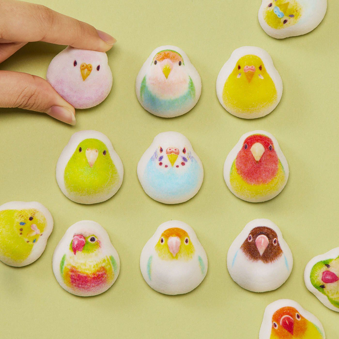 ころんとしたフォルムに心ときめく、色とりどりのインコたちころんとしたフォルムがかわいいインコの和風マシュマロが、みんなでたっぷり楽しめる15個入りになりました。色鮮やかな羽色や、こちらを見つめるつぶら