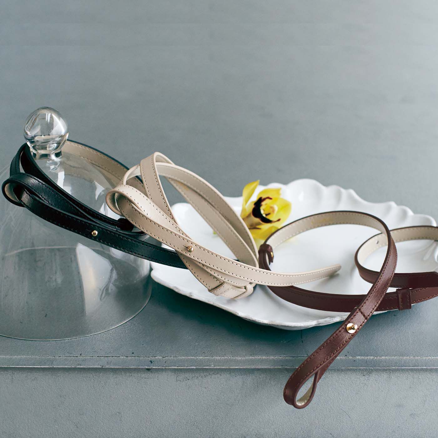 el: ment �X���C�h���邾���Œ������ߊȒP�șz�Ƃ����R�[�f�Ɋ��Y�����킢��Ă�{�v�x���g�̉�y���������z