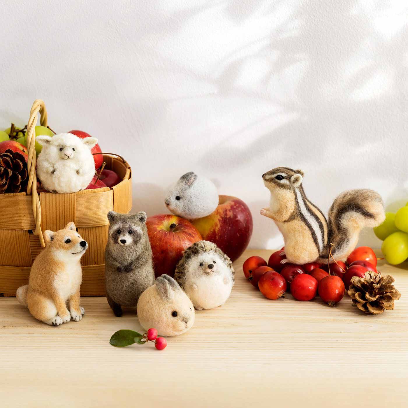サクサクしながら癒やされるリアルかわいい羊毛フェルト。羊毛フェルトを作ってみたいけどむずかしそう。そんな、はじめてさんのためのレッスンキット。羊毛を専用のニードルでサクサク刺して成形する羊毛フェルトを