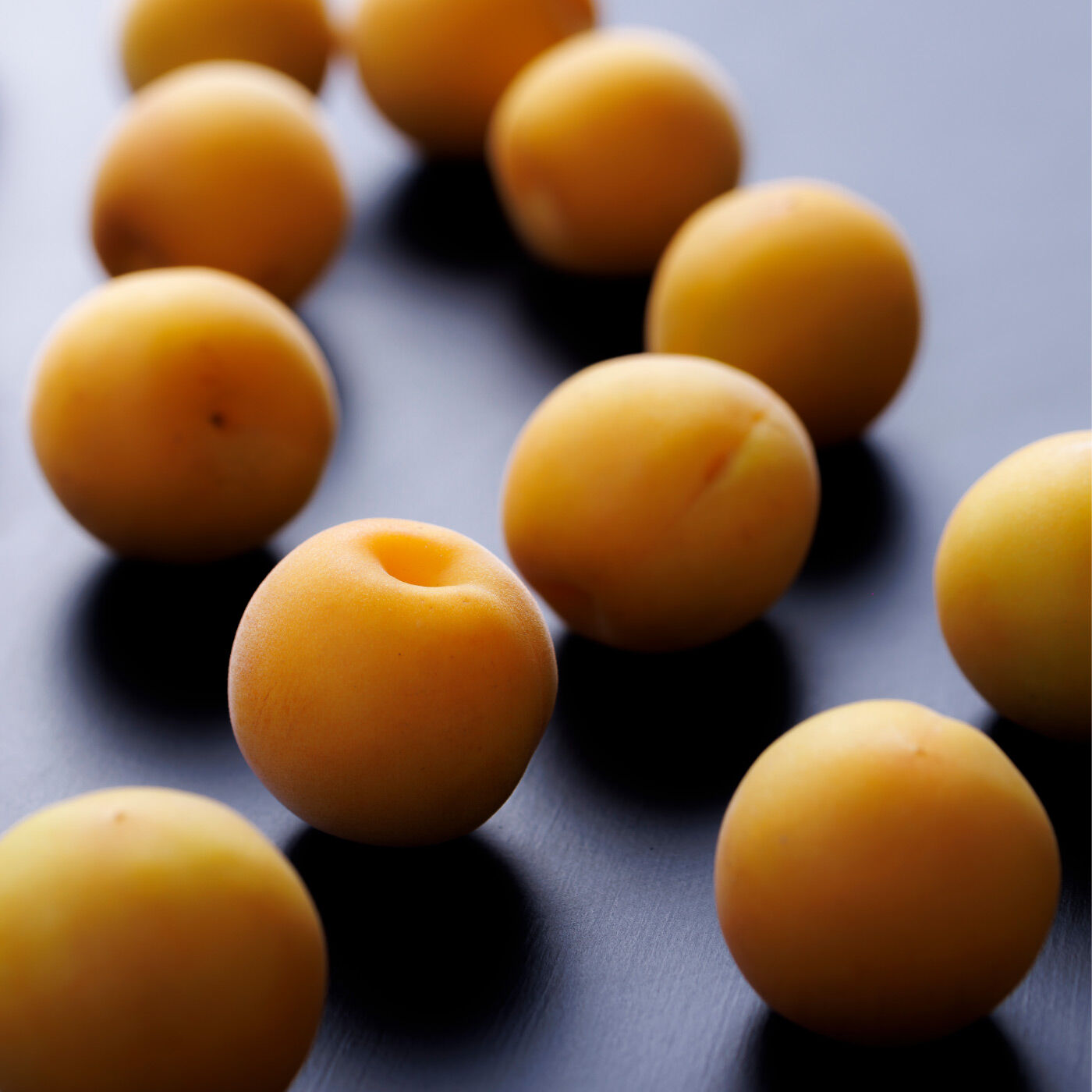 かをり梅蘭麝 1.5kg