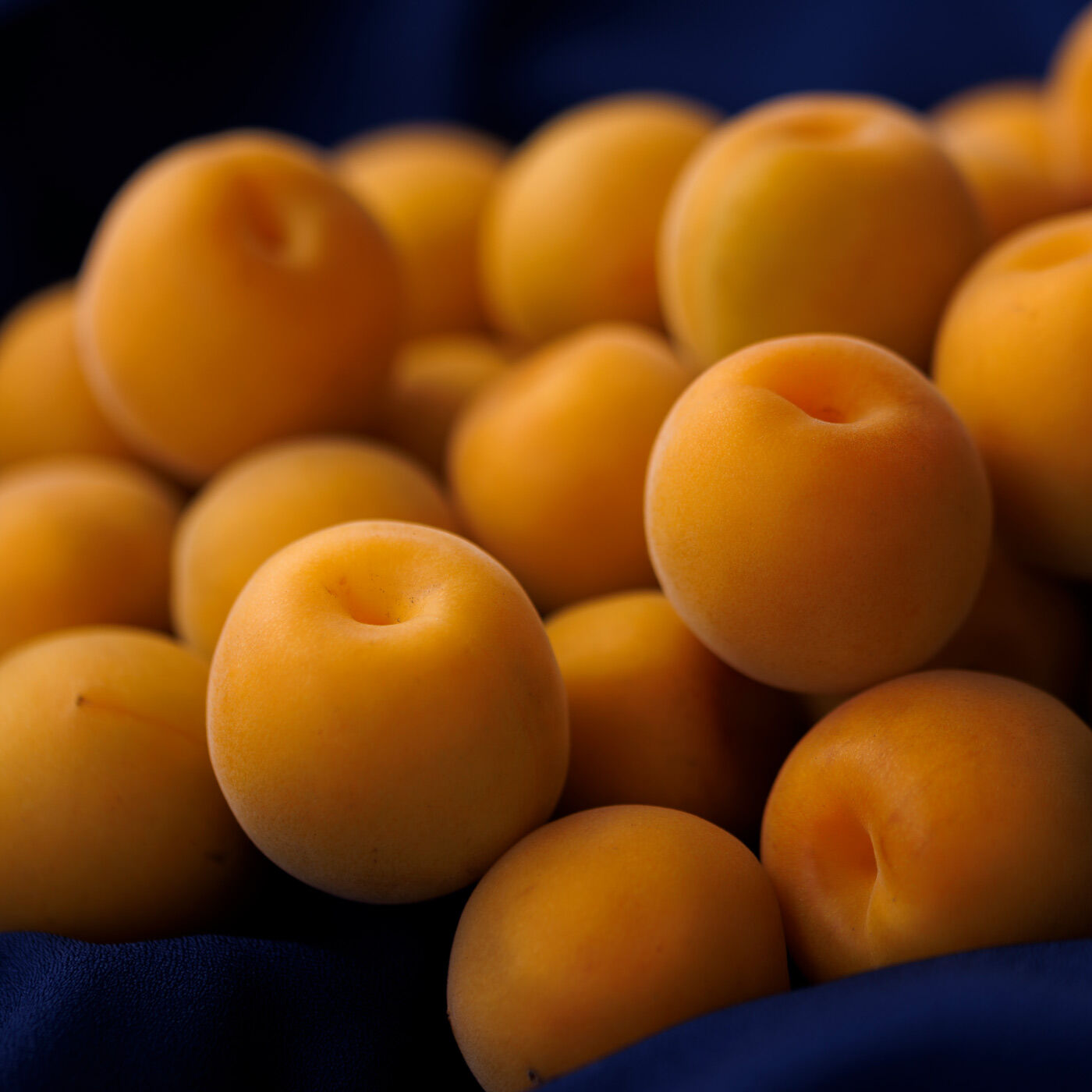 かをり梅蘭麝 3kg