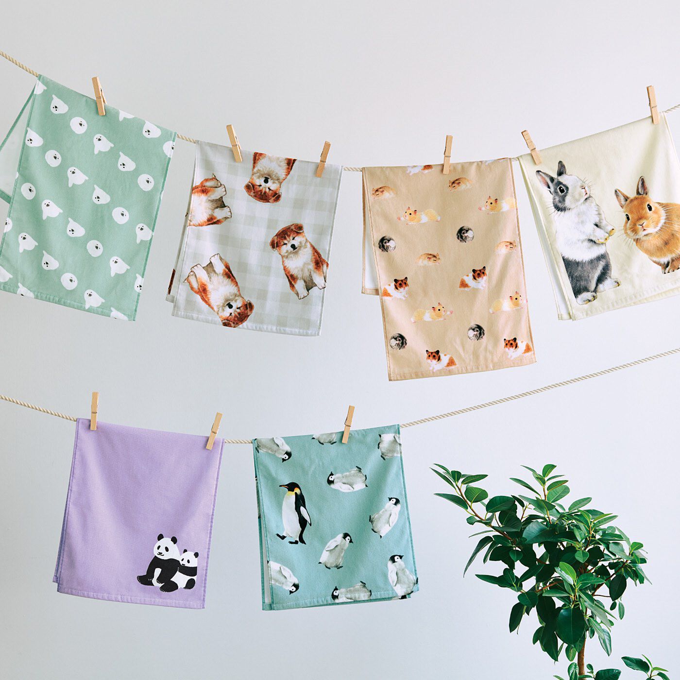 YOU+MORE! いっしょに暮らそう 動物たちのふわふわフェイスタオルの会【送料: 450円+税】