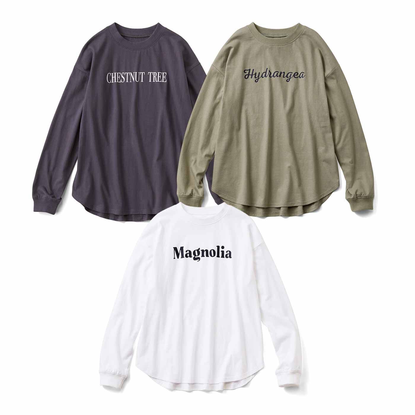 リブ イン コンフォート 地中海育ちのトルコオーガニックコットンロングTシャツの会【送料無料】