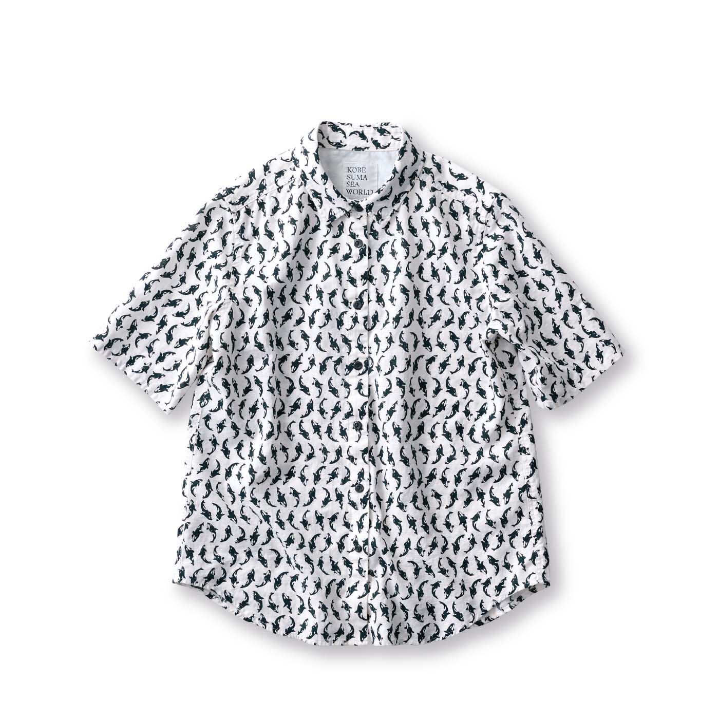 水谷　サニークラウズ　パルティクラール　　おまとめ サニークラウズ feat. 神戸須磨シーワールド オルカの親子シャツ