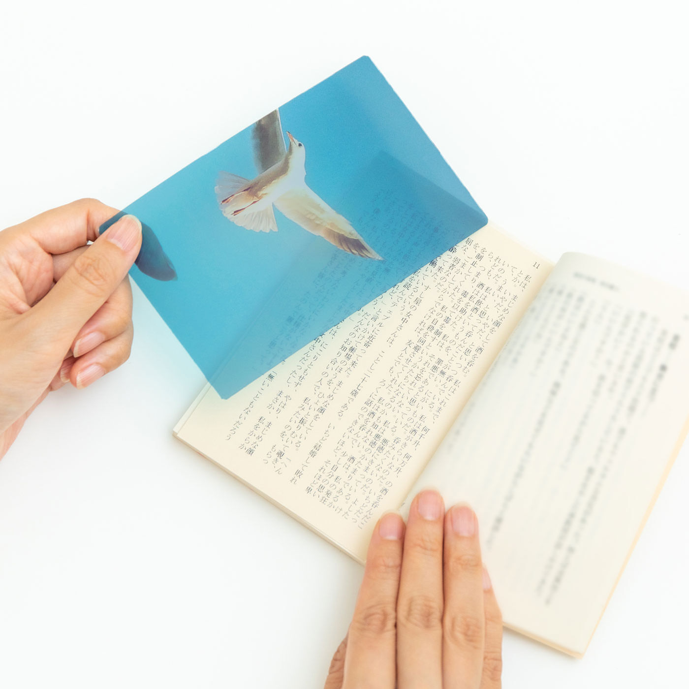 非日常の風景が素敵! 本好きさんの心をくすぐる透明しおりセット〈船&かもめ〉【送料: 450円+税】