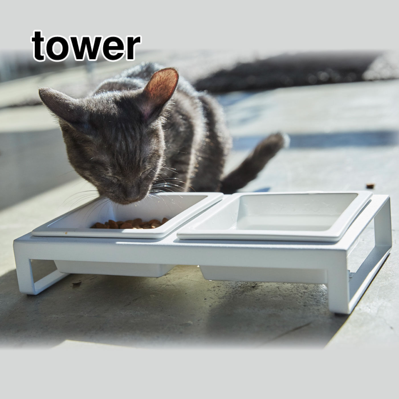 tower ペットフードボウルスタンドセット【送料無料】