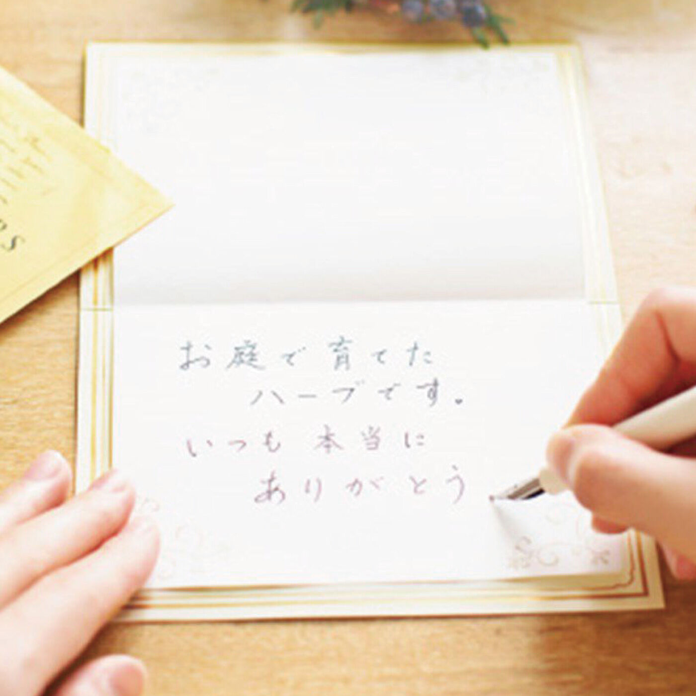 18のコツを身につければ字がぐんとうまくなる きれいな文字はあなたを変える!美文字レッスンプログラム[6回予約プログラム]【送料: 450円+税】