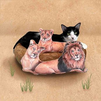 YOU＋MORE!×猫部 百獣の王の頂点に君臨する猫ベッド