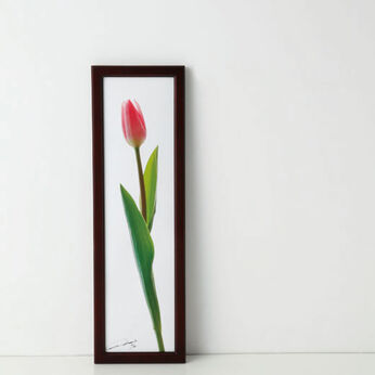 la fleur〈FOR BABY tulip～はじめての贈り物-1〉photo:yukihito MASUURA