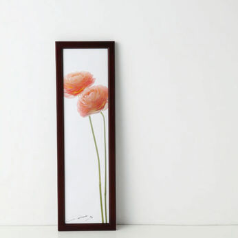 la fleur〈OTHER CONGRATULATIONS ranunculus～喜びを分かち合う-1〉photo:yukihito MASUURA